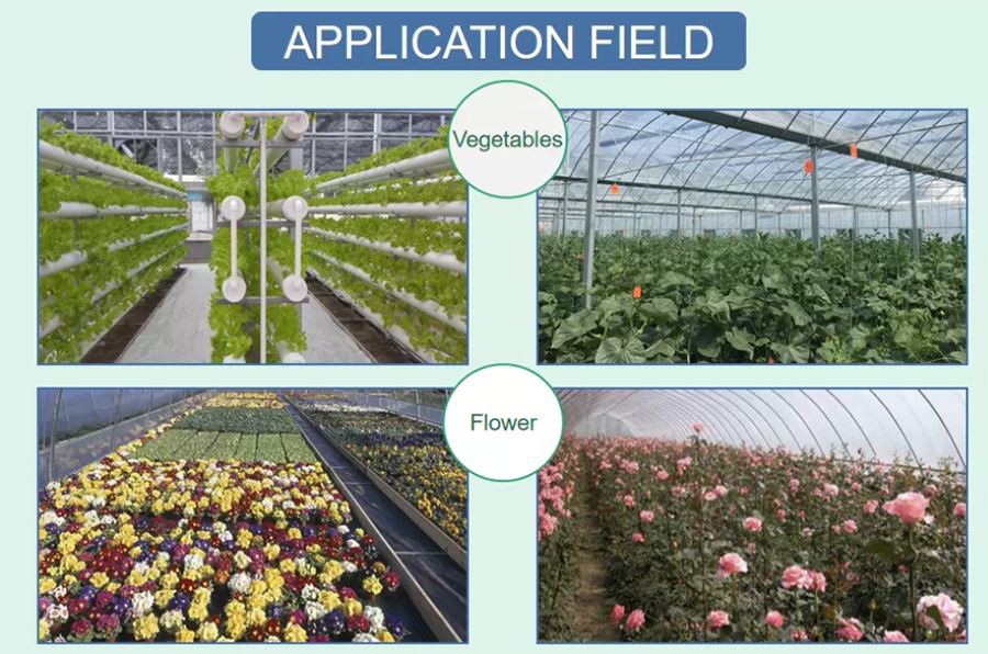 china plastic dome greenhouse china plastic dome greenhouse