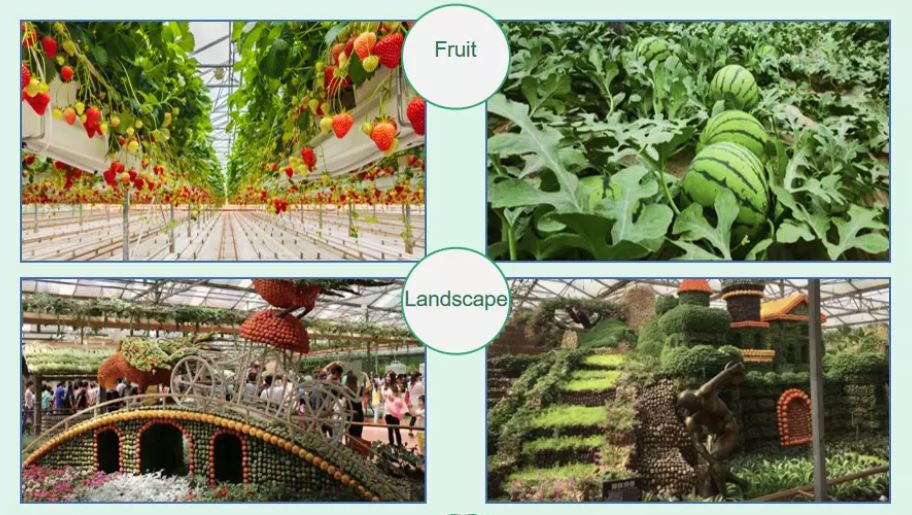 plastic dome greenhouse manufacture plastic dome greenhouse manufacture