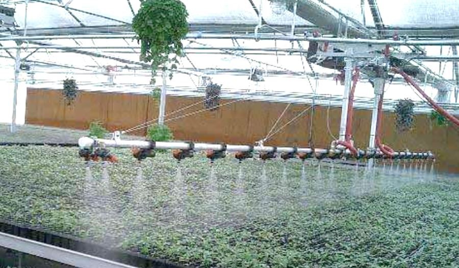 200 micron greenhouse plastic supplier