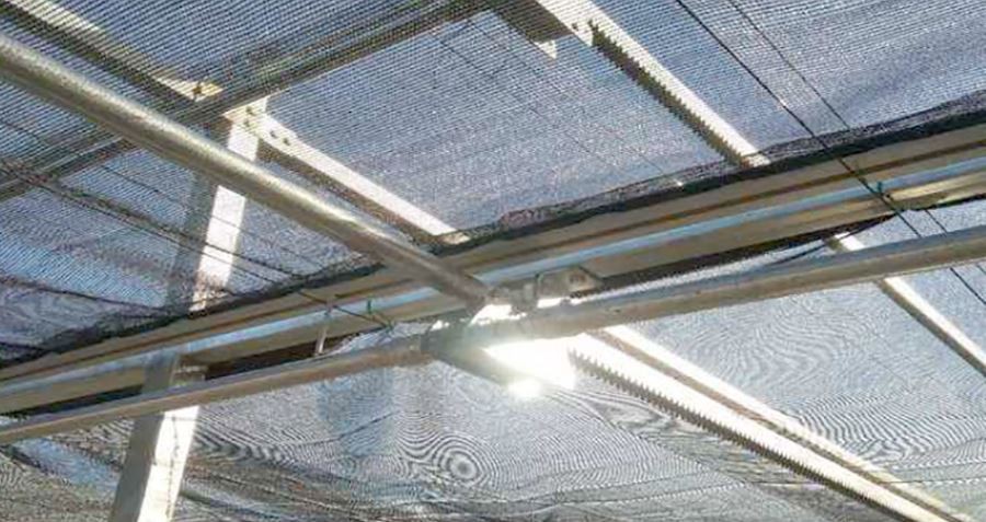 china 200 micron greenhouse plastic factory