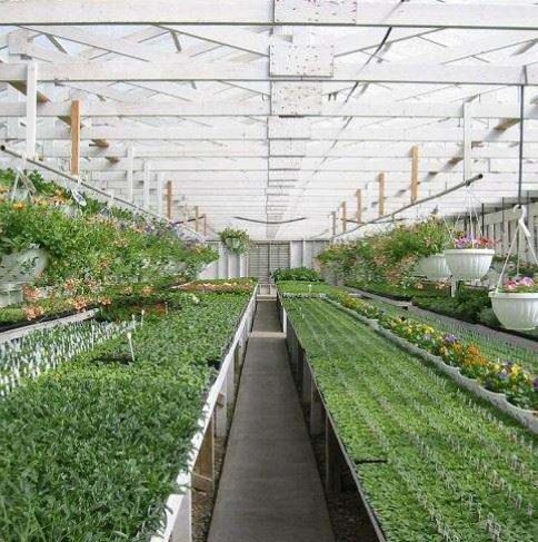 buy 200 micron greenhouse plastic