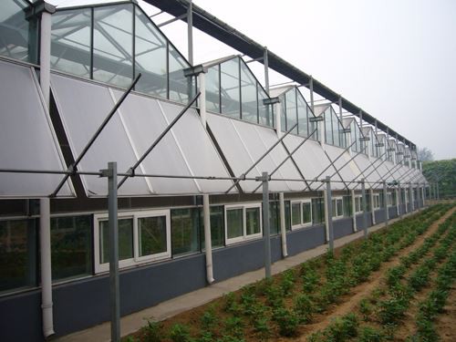 Ventilation method of glass greenhouse