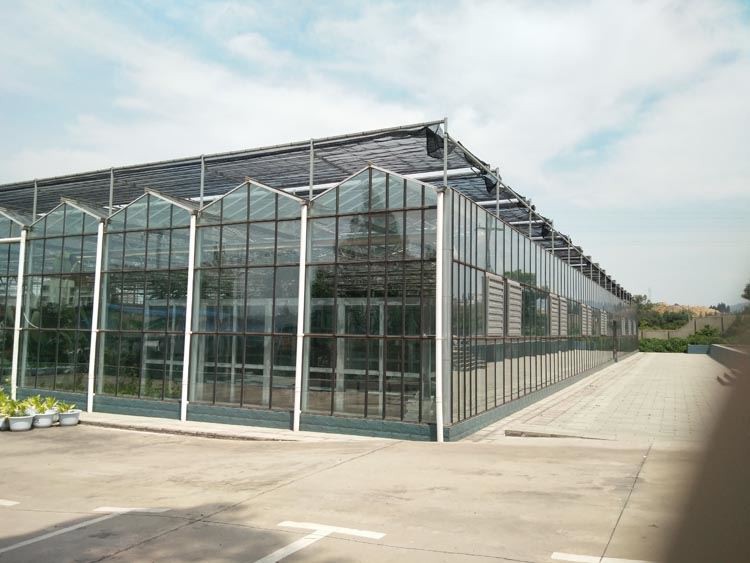 Why choose this greenhouse