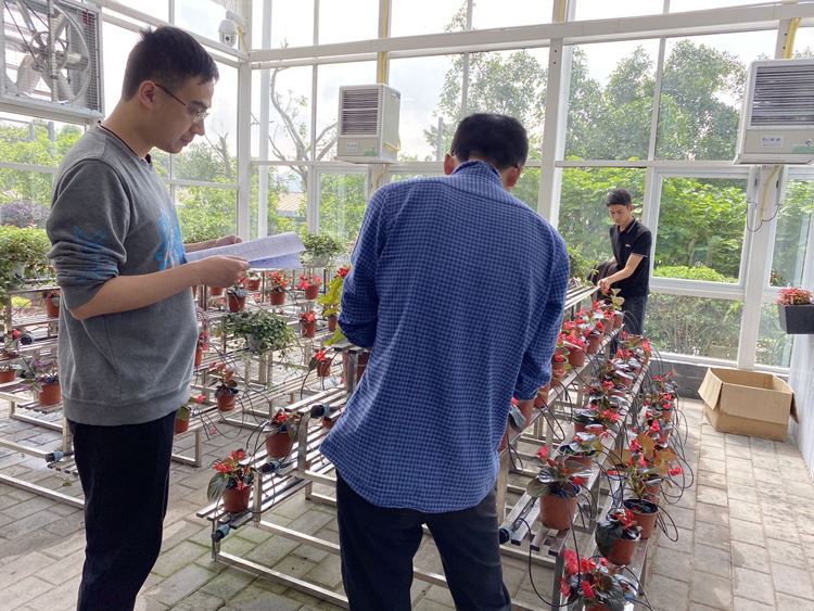 multi-span plastic greenhouse multi-span plastic greenhouse