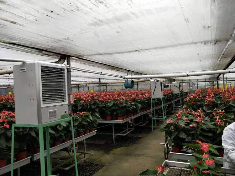 Greenhouse roller shutter machine adjusts the temperature in the shed Greenhouse roller shutter machine adjusts the temperature in the shed