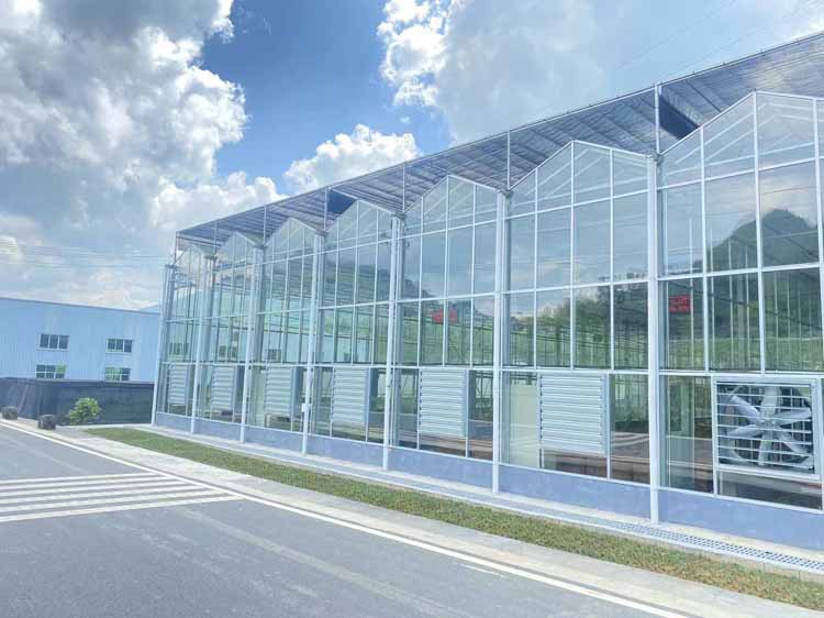 Greenhouse Vegetables Greenhouse Vegetables