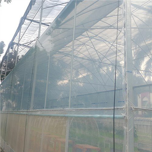 গ্রিনহাউসের জন্য 6 মিল ক্লিয়ার প্লাস্টিকের শীট