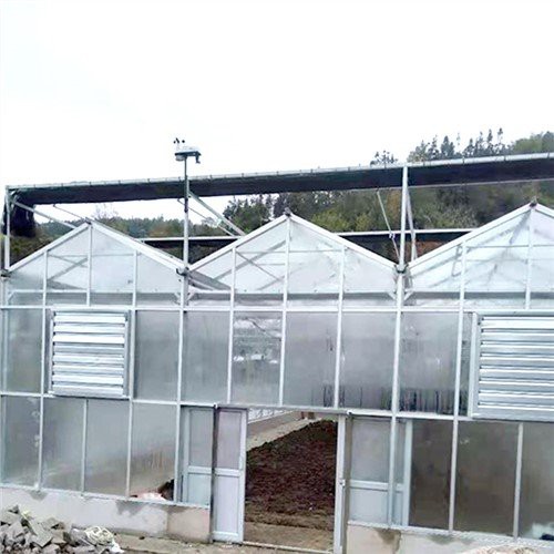 কৃষি ভেনলো টাইপ গ্লাস গ্রিনহাউস